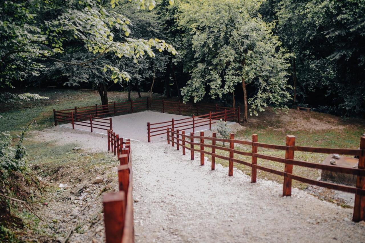 Krepoljin Restoran Sa Prenocistem Gornjak מראה חיצוני תמונה